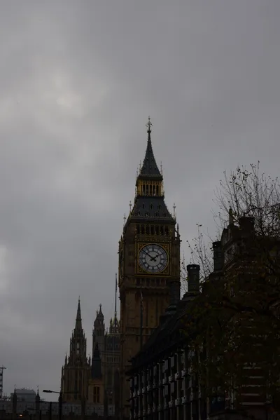 DSC_5914 (Large).JPG